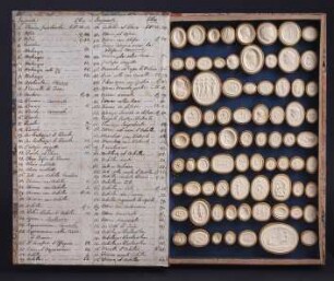 Gemmenkasten Tav. 19