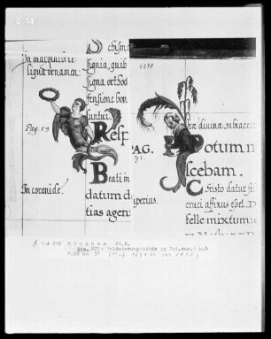 Erläuterungsbände zu den Bußpsalmen des Orlando di Lassos und den Motetten des Cyprian de Rore — Engel mit einem Lorbeerkranz
