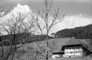 Gutach: Schwarzwaldhaus an der Schwarzwaldbahn bei Gutach