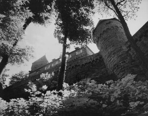 Archivfotografie "neckar_zwingenberg_on"
