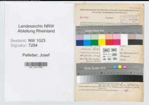 Entnazifizierung Josef Pelletier , geb. 06.07.1902 (Justizinspektor)