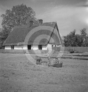 Kartoffellese vor einem Bauernhaus in Polen