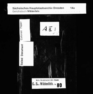 Konsensbuch von Schönau (bei Wildenfels)