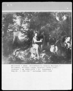 Orpheus