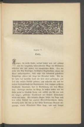 Kapitel V. - Cadiz.