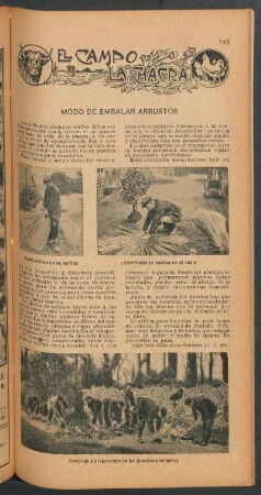 Modo de embelar arbustos : El campo y la chacra