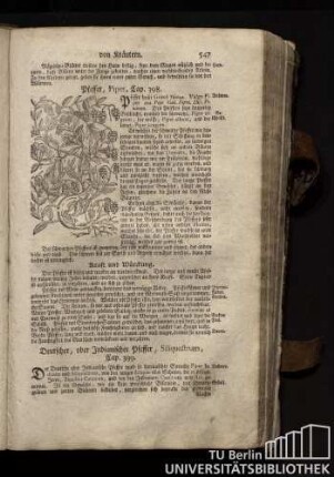 Cap. 398. Pfeffer, Piper.