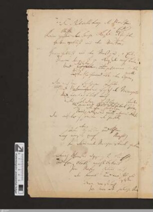 Der Mensch (Kaum sproßten ...) : [Ausz.]; Verse 1-16 und Schluss; [StA 1,263/577]