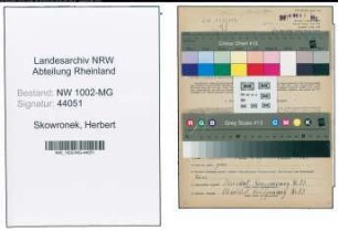 Entnazifizierung Herbert Skowronek , geb. 13.04.1913 (Stellmacher)