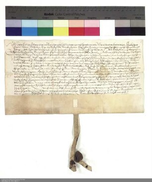 Revers Johann Schleiers bezüglich der Belehnung mit dem Gericht in Röllshausen durch Balthasar [von Dernbach], Abt von Fulda