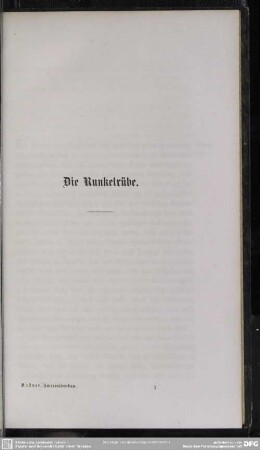 Die Runkelrübe