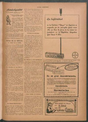 El peligro de las moscas