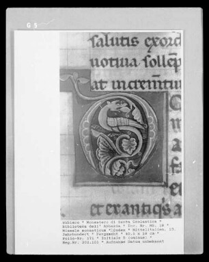 Missale monasticum — Initiale D (ominus), Folio 171