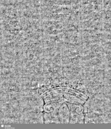 Lilienschild + IESV / LW = S.1/2