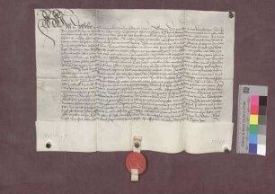 Lehnbrief des Abts Diethelm von St. Gallen für Anton von Staufen über das Dorf Norsingen.