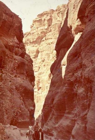 Petra Sik