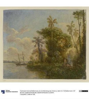 An der Mündung des Orinoco