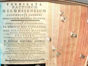 Vindicata Pactorum Hildesiensium In Confirmanda Communi Circa Simultaneum Doctrina Efficacia
