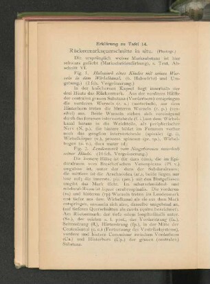 Tab. 14.