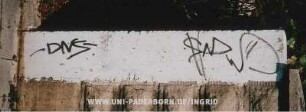 -DNS- SMD