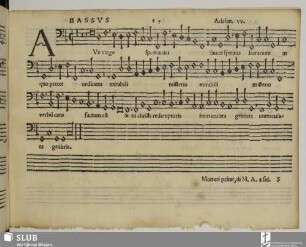 Willaert, Adrian: Ave virgo sponsa dei