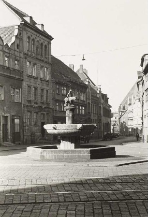 Halle (Saale), Alter Markt mit dem Brunnen "Esel, der auf Rosen geht" von A. Keiling