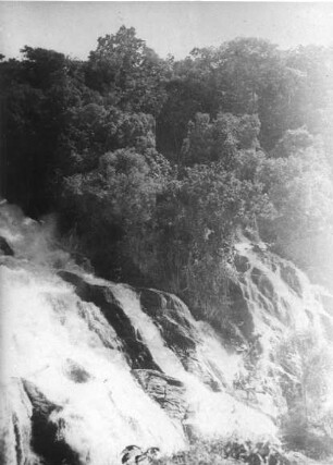 Pangani Hauptfall