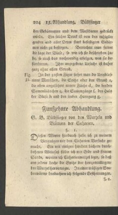 Funfzehnte Abhandlung. G. B. Büllffinger von den Wurzeln und Blättern der Cichorien.