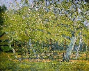 Obstgarten im Frühling