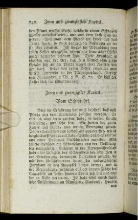 Zwey und zwanzigstes Kapitel. Vom Schwindel.