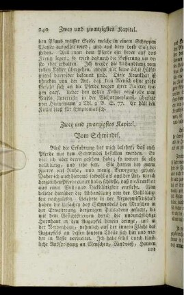 Zwey und zwanzigstes Kapitel. Vom Schwindel.