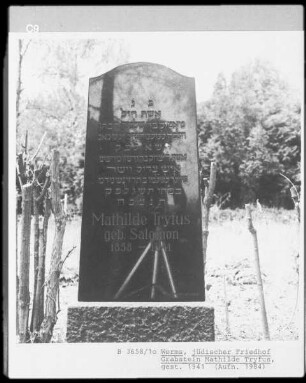 Grabstein von Mathilde Tryfus (gestorben 1941)