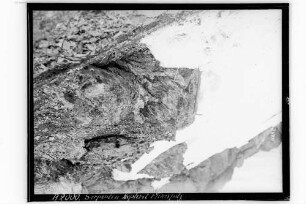 Serpentin Nephrit an der Flimspitze nahe Samnaun