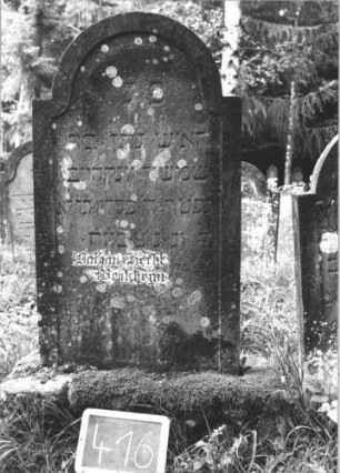 Grabstein 416 (Index: 99895877) Material: Sandstein Zustand: gut, bewachsen Maße HxBxT: 135x63x8 cm Beschreibung: Stele mit eingezogenem Rundbogenabschluss: Grabstein 416