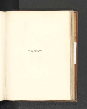 Tafel XXXVI.