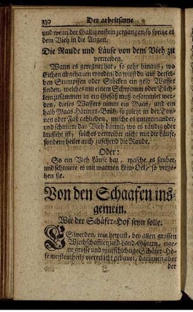 Von den Schaafen insgemein.