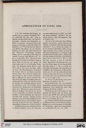 Anmerkungen zu Tafel XVII
