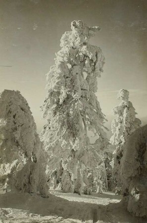 Erzgebirge im Winter. Raufrost am Kahleberg