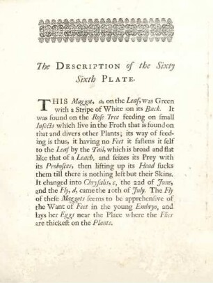 The Description of the Sixty Sixth Plate