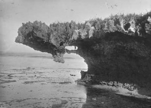Korallenküste : Korallenküste bei Mombasa