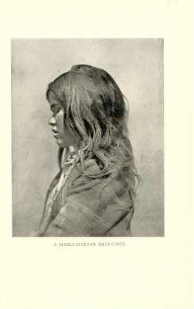 A Shoka-Tibetan half-caste