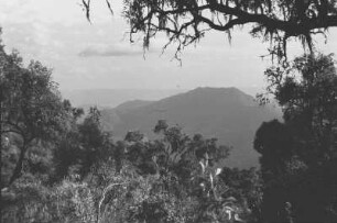 Aufstieg zum Monte Bizen : Blick in eine bergige Tallandschaft