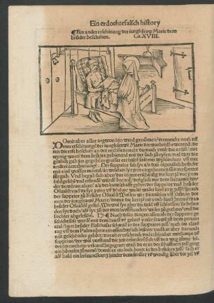 Ein ander erschinung der jungkfraw Marie dem bruder beschehen. Ca. XVIII.