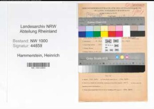 Entnazifizierung Heinrich Hammerstein, geb. 06.06.1896 (Lehrer)