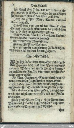 Meer-Gewächs
