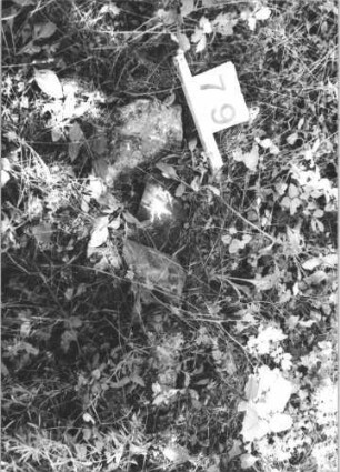 Grabstein 79