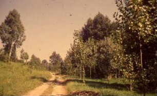 Pleidelsheim, Stauhaltung