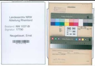 Entnazifizierung Ernst Neugebauer , geb. 21.03.1900 (Steuerinspektor)