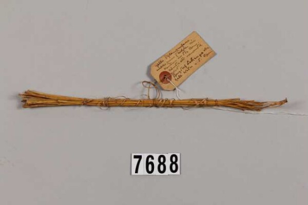 Fibres végétales (échantillon de matériau)