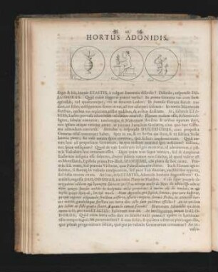 Hortus Adonidis.